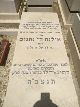 תמונת מצבה