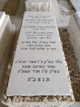 תמונת מצבה