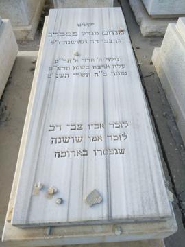 תמונת מצבה