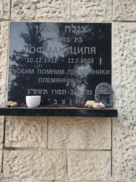 תמונת מצבה