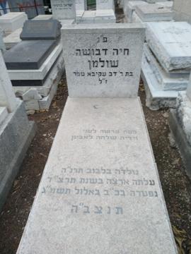 תמונת מצבה