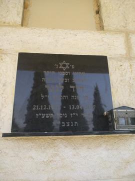תמונת מצבה