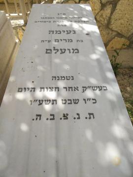 תמונת מצבה