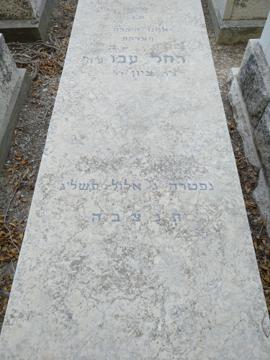 תמונת מצבה