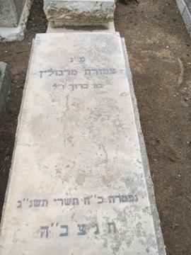 תמונת מצבה