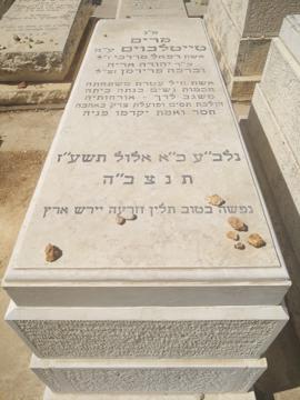 תמונת מצבה