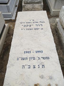 תמונת מצבה