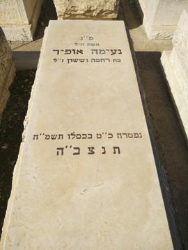 תמונת מצבה