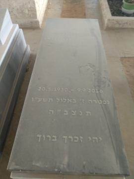 תמונת מצבה
