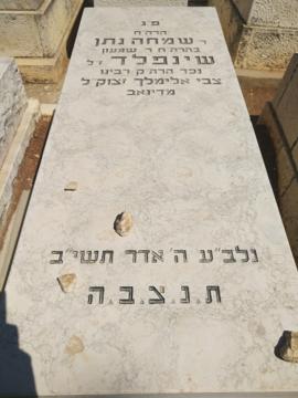 תמונת מצבה