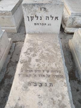 תמונת מצבה