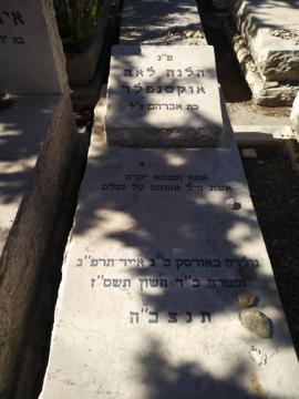 תמונת מצבה