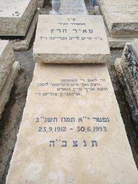 תמונת מצבה
