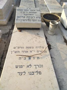 תמונת מצבה