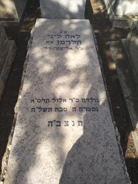 תמונת מצבה