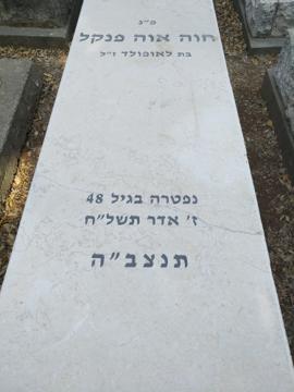 תמונת מצבה