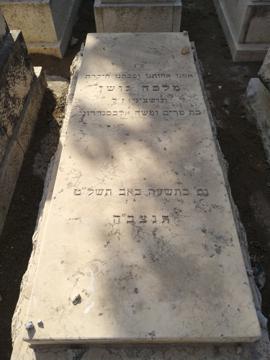תמונת מצבה
