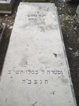 תמונת מצבה