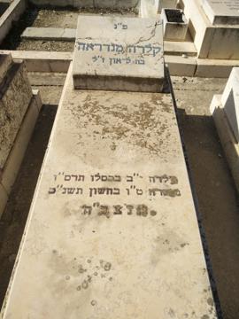 תמונת מצבה