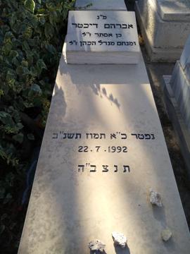 תמונת מצבה