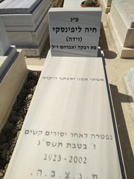 תמונת מצבה