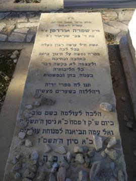 תמונת מצבה