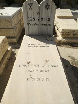 תמונת מצבה