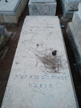 תמונת מצבה