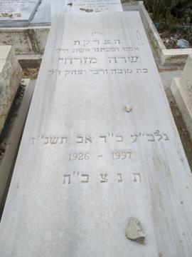 תמונת מצבה