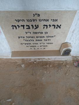 תמונת מצבה
