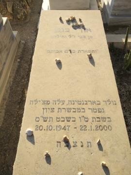 תמונת מצבה