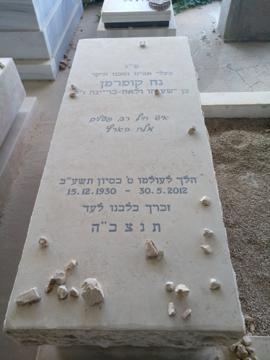 תמונת מצבה