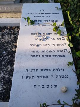 תמונת מצבה