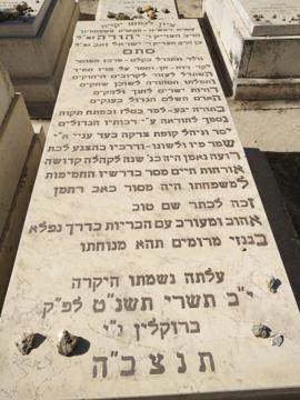תמונת מצבה