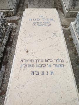 תמונת מצבה