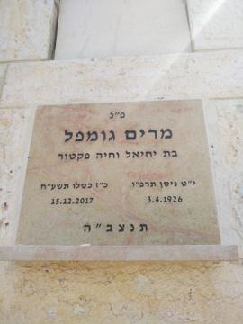 תמונת מצבה