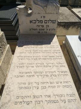 תמונת מצבה