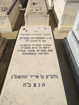 תמונת מצבה