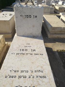 תמונת מצבה