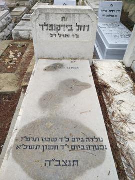 תמונת מצבה