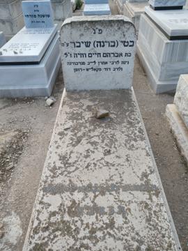 תמונת מצבה