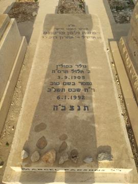 תמונת מצבה
