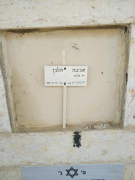 תמונת מצבה