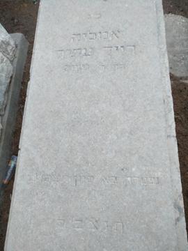 תמונת מצבה
