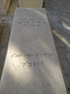 תמונת מצבה