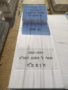 תמונת מצבה