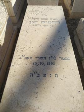 תמונת מצבה