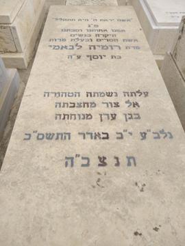 תמונת מצבה