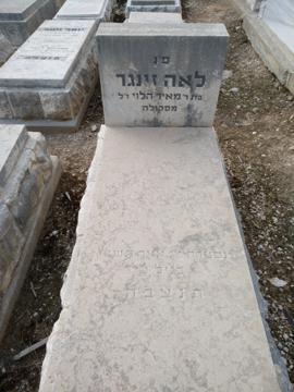 תמונת מצבה