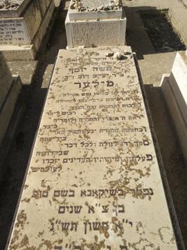 תמונת מצבה